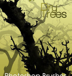 18种高清树木、大叔树干、枯树Photoshop笔刷素材下载