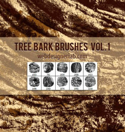 干枯是大树树皮、树木表面纹理图案PS笔刷素材下载