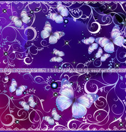漂亮的蝴蝶艺术花纹图案PS笔刷素材下载
