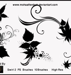 漂亮的艺术系植物叶子花纹图案PS笔刷素材下载