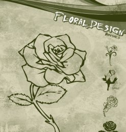 玫瑰花花朵图案、花纹印花笔刷PS素材下载