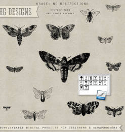 飞蛾、蝴蝶版刻图案效果PS笔刷素材下载
