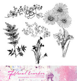 漂亮的手绘植物鲜花图案PS笔刷素材下载