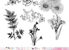 漂亮的手绘植物鲜花图案PS笔刷素材下载