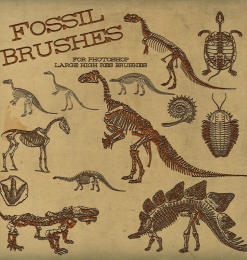 侏罗纪恐龙骨骼化石图案Photoshop笔刷下载