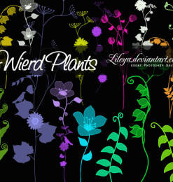 漂亮的手绘植物野草、野花图案PS笔刷素材下载
