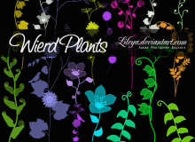 漂亮的手绘植物野草、野花图案PS笔刷素材下载