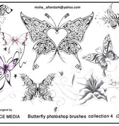 漂亮的花纹式蝴蝶图案Photoshop笔刷素材下载