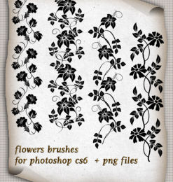漂亮优雅的植物藤蔓式花纹图案Photoshop印花笔刷