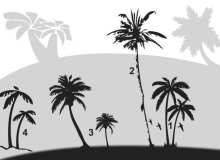 椰子树、椰树剪影Photoshop笔刷素材下载