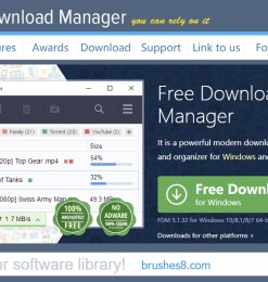 替代迅雷的下载工具：Free Download Manager – 迅雷你可以卸载了！