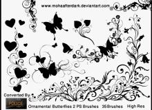漂亮的蝴蝶与植物艺术花纹图案Photoshop笔刷素材下载