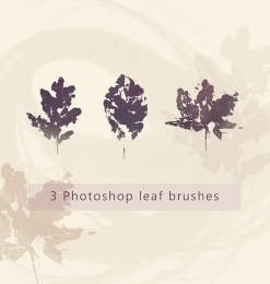 橡树树叶、枫叶、秋天枯叶、落叶剪影图形PS笔刷素材