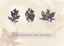 橡树树叶、枫叶、秋天枯叶、落叶剪影图形PS笔刷素材
