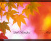 秋天的红叶祭效果、红叶、树叶PS叶子笔刷素材