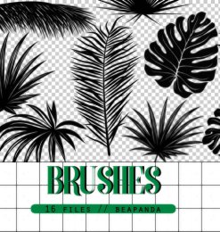 热带植物叶子图形Photoshop笔刷素材下载