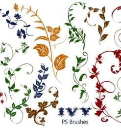 20种植物常青藤花纹图案PS笔刷素材下载
