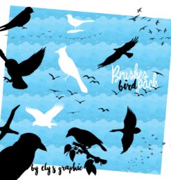 飞鸟、鸟群剪影图形PS笔刷素材下载