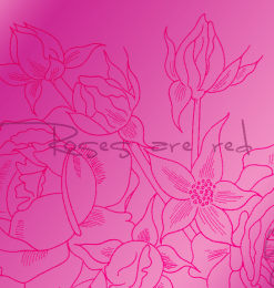 手绘线框式鲜花花朵图案Photoshop花纹笔刷素材