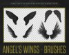 天使羽毛翅膀图案、飞翔的空中羽翼Photoshop笔刷素材下载