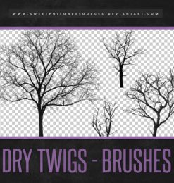 枯树、大树剪影图像PS笔刷素材下载
