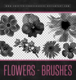 真实的鲜花、花朵造影图案Photoshop笔刷素材下载