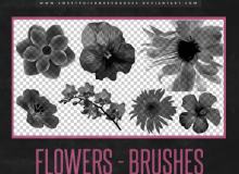 真实的鲜花、花朵造影图案Photoshop笔刷素材下载