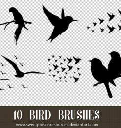 10种飞鸟、鸟剪影图像Photoshop小鸟笔刷素材