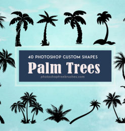 40种海边椰子树剪影图形photoshop自定义形状素材 .csh 下载