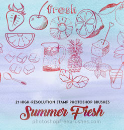 21种清爽夏日主题柠檬、草莓、番茄、樱桃、酒杯、饮料、西瓜、菠萝、冰块、树叶等手绘PS笔刷素材