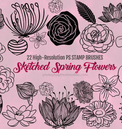 22种漂亮的手绘鲜花花朵图案、春季鲜花花纹Photoshop笔刷下载