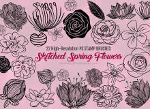 22种漂亮的手绘鲜花花朵图案、春季鲜花花纹Photoshop笔刷下载