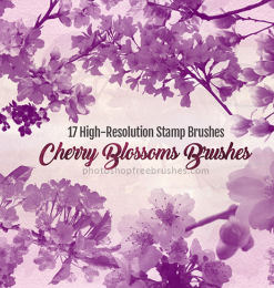 17种樱花节、樱花树浪漫樱花Photoshop花朵笔刷素材
