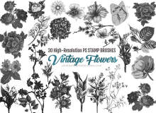 30种复古式水彩花卉图案、盛开的艳丽鲜花花朵图形PS笔刷免费下载