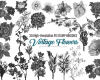 30种复古式水彩花卉图案、盛开的艳丽鲜花花朵图形PS笔刷免费下载