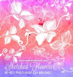 20种免费的手绘鲜花花朵图案Photoshop花纹笔刷下载