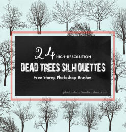 24种冬天干枯的大树、树木剪影造影图形Photoshop大树笔刷下载