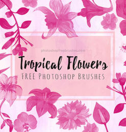 夏日主题的花卉图案、盛开的鲜花花朵Photoshop笔刷下载