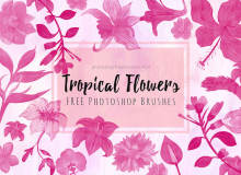 夏日主题的花卉图案、盛开的鲜花花朵Photoshop笔刷下载
