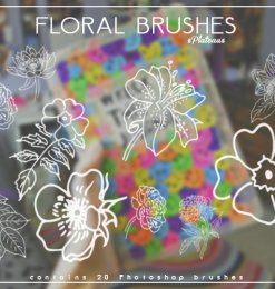 线框式花朵、盛开的鲜花图案Photoshop花朵图案笔刷