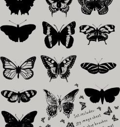 版刻式风格的蝴蝶、昆虫标本效果PS笔刷下载