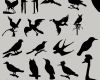 各种飞行鸟类剪影图形Photoshop笔刷素材下载（含photoshop自定义形状素材 .csh文件）