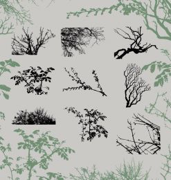 植物枝条、树杈剪影图形造影Photoshop笔刷素材下载