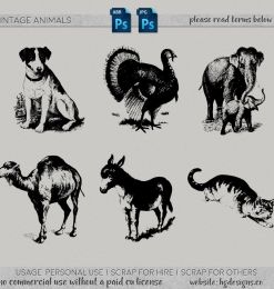 狗狗、大象、孔雀、骆驼、猫咪、驴子等动图造影图形PS笔刷下载