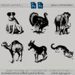 狗狗、大象、孔雀、骆驼、猫咪、驴子等动图造影图形PS笔刷下载