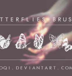 6种蝴蝶花纹印记图案PS笔刷下载