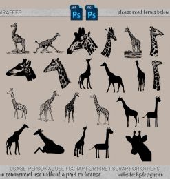 长颈鹿图案PS笔刷下载