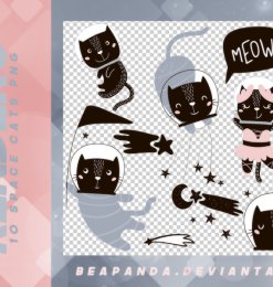 10种可爱呆萌黑猫酱卡通图形韩国笔刷风格下载（PNG免扣图透明格式）