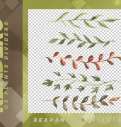 5种手绘的植物叶子枝条图案PS笔刷素材下载（PNG透明格式）