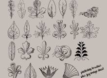 手绘素描式树叶、叶子图形、花叶纹理图案PS笔刷下载